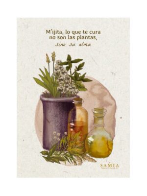 Alma Plantas