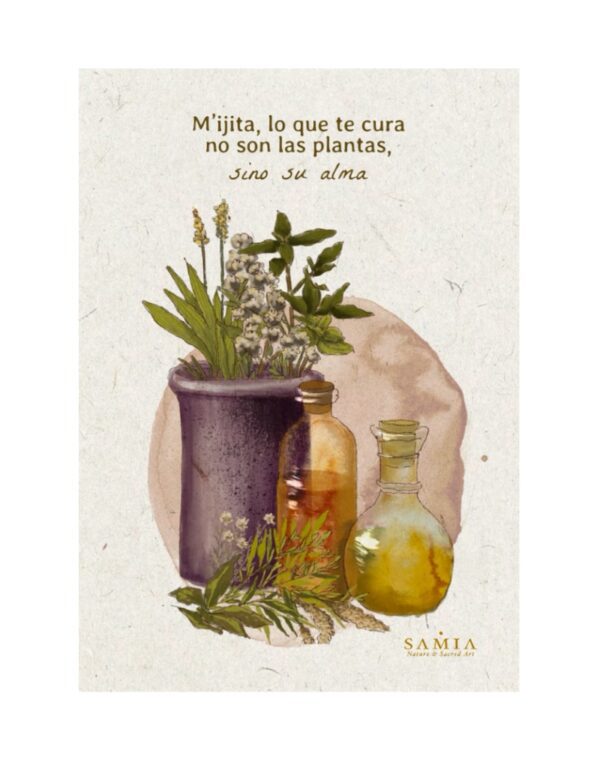 Alma Plantas