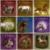 Pack Chakras: 19 ilustraciones Chakras en Caballos y Humanos