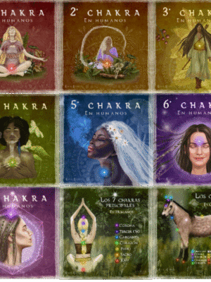 Pack Chakras: 8 ilustraciones Chakras Humanos