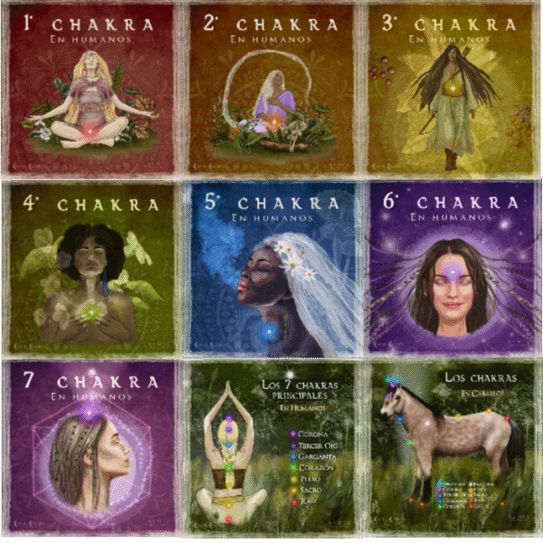 Pack Chakras: 19 ilustraciones Chakras en Caballos y Humanos