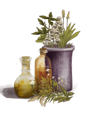 Alma Plantas