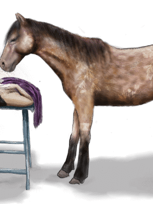 Pack Terapeuta: 5 imágenes enfocadas en la Terapia Asistida con Caballos