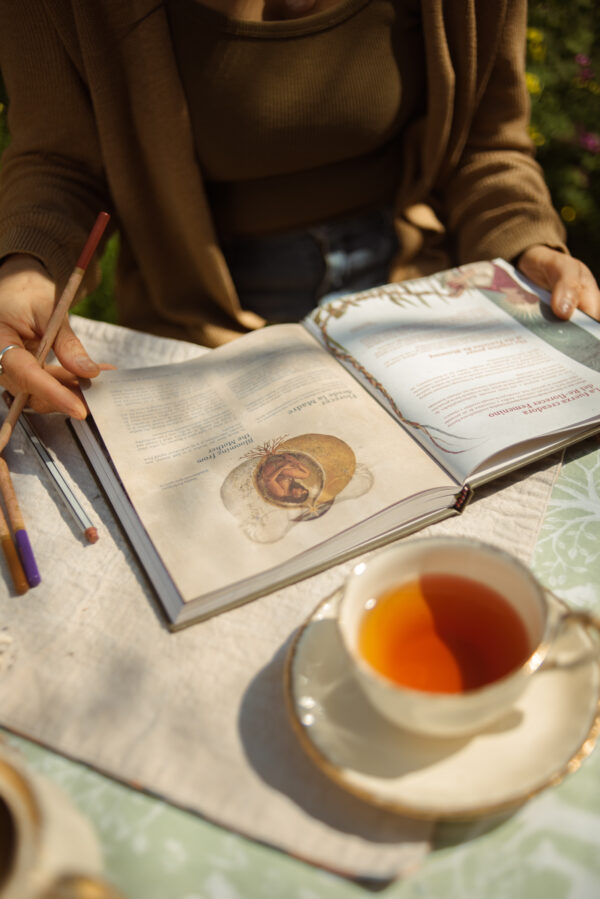 Promo Especial · Agenda Mujeres Luna 2026 + Marcapáginas regalo