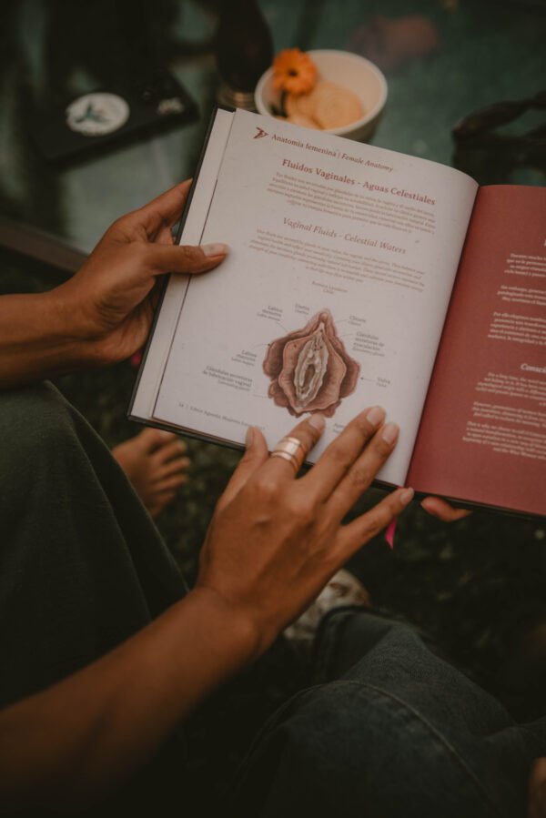 Libro Agenda Mujeres Luna 2027