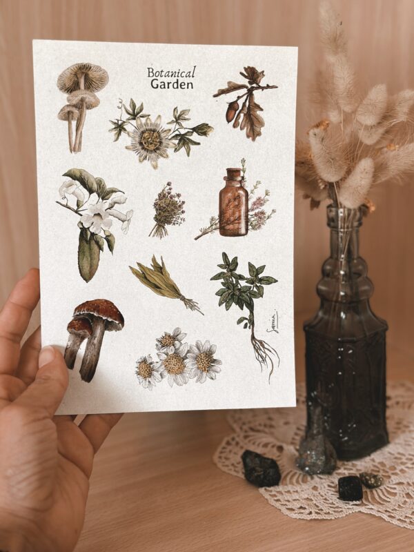 Kit 4 Planchas de Stickers/Pack 4 Fogli adesivi Illustrati