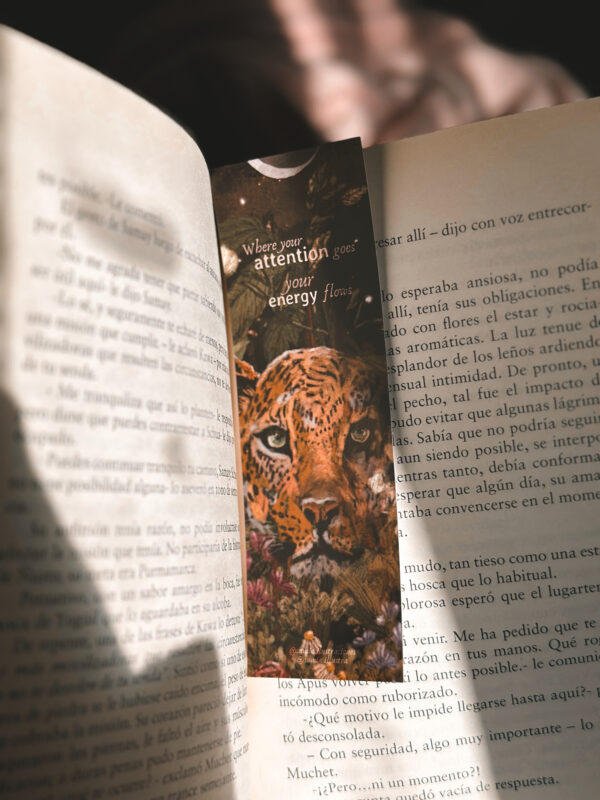 Marcapáginas/Segnalalibri