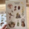 Kit 4 Planchas de Stickers/Pack 4 Fogli adesivi Illustrati