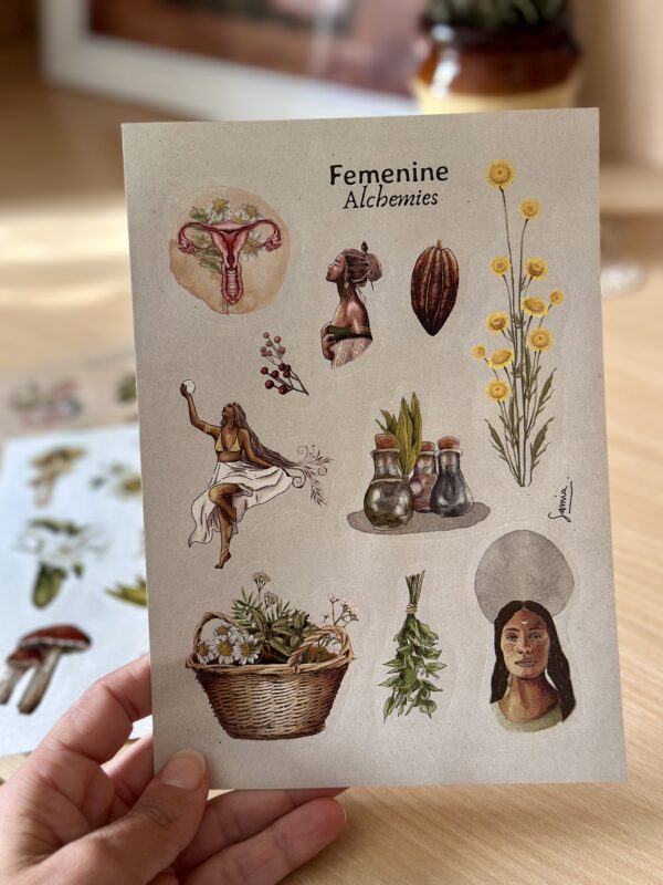 Kit 4 Planchas de Stickers/Pack 4 Fogli adesivi Illustrati