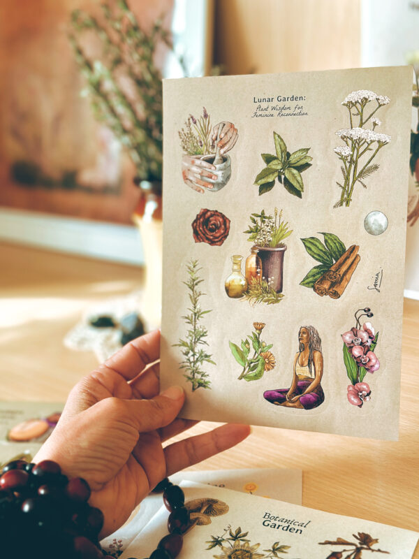 Kit 4 Planchas de Stickers/Pack 4 Fogli adesivi Illustrati