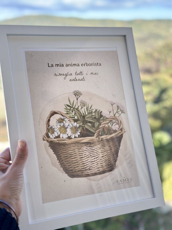 IMG_1636 Cuadro 28,5 × 38 cm (lámina español/italiano/inglés + marco madera)/Stampa A4 con cornice in legno