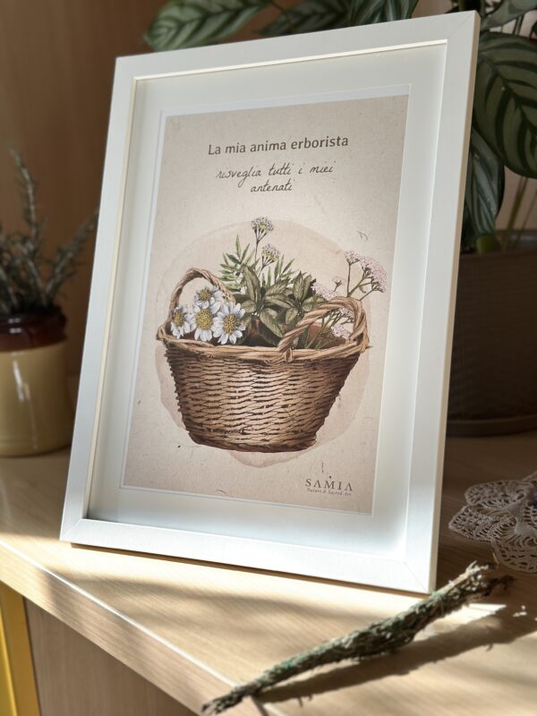 IMG_1638 Cuadro 28,5 × 38 cm (lámina español/italiano/inglés + marco madera)/Stampa A4 con cornice in legno