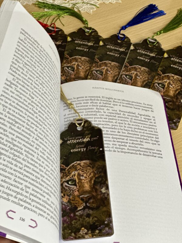 Marcapáginas/Segnalalibri