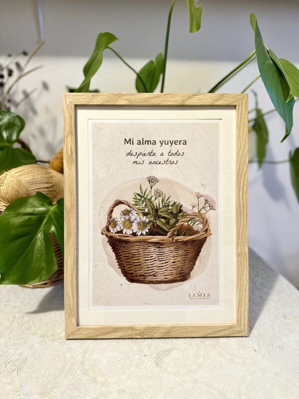 Cuadro 28,5 × 38 cm (lámina español/italiano/inglés + marco madera)/Stampa A4 con cornice in legno