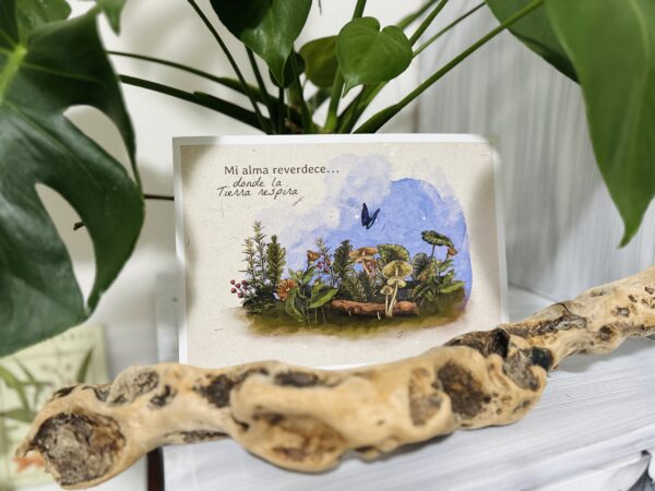 Lámina impresa A4 (Opciones español/italiano/inglés)/Stampa A4