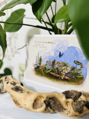 IMG_2252 Lámina impresa A4 (Opciones español/italiano/inglés)/Stampa A4