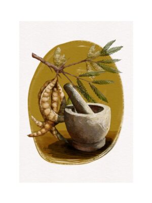 EL ÁRBOL-Algarrobo Blanco