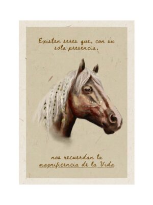 Lámina Magnificencia