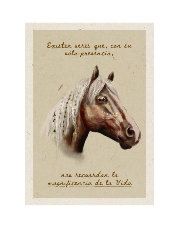 Lámina Magnificencia