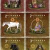 Chakras_web1 Pack Chakras