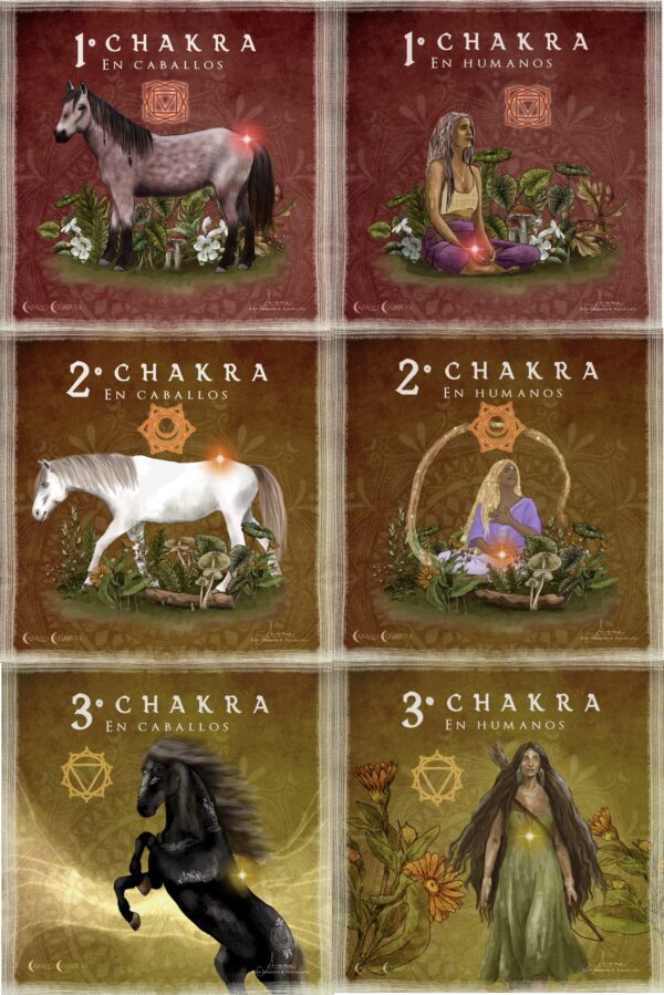 Chakras_web1 Pack Chakras