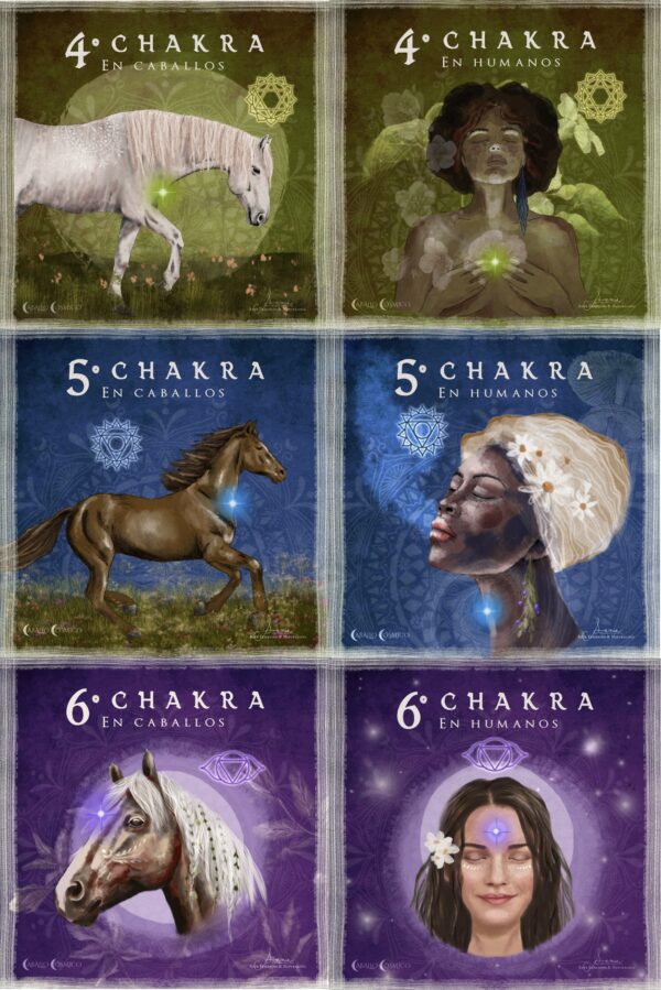 Chakras_web2 Pack Chakras