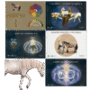 Para_Web Pack Terapeuta