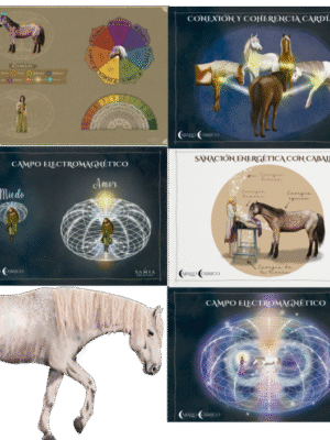 Pack Terapeuta