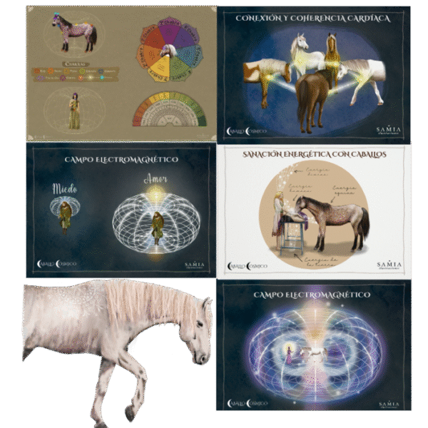 Para_Web Pack Terapeuta