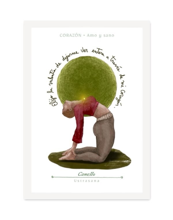 Postura Camello A4